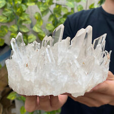 2.7lb Large Natural Clear White Quartz Crystal Cluster Rough Healing Specimen picture