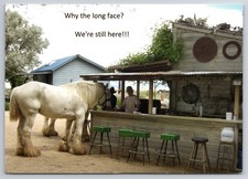 Large Horse @ Outdoor Bar Planet X Pottery Art Gallery AD Gerlach Nevada picture