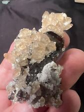 Calcite with Sphalerite, Elmwood Mine, Carthage, TN picture