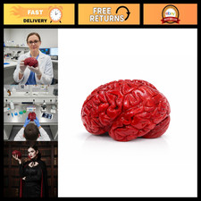 Realistic Bloody Brain Prop - Soft Sponge Model for Halloween Decor, 7.5" X 4 picture