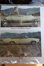 Pontiac GTO Advertisement picture