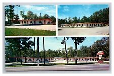 Postcard Levering Michigan The Twin Motel AAA picture