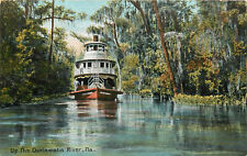 Vintage Postcard Up the Ocklawaha River In a Steramboat FL 26690 Leighton picture