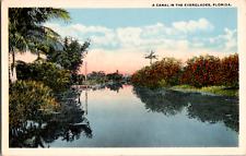 Vintage 1920's Orange Grove Along a Canal in Everglades Florida FL Postcard  picture