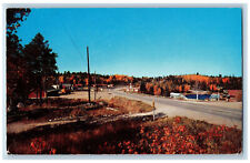 Sioux Narrows Ontario Canada Postcard Main Street Looking North c1960's picture