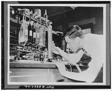 1940s Male Scientist Laboratory Equipment Experiment Research Microscope picture