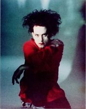 The Cure classic 80's band portrait Robert Smith 8x10 inch photo picture