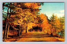 Rushford MN-Minnesota, Scenic Road Drive, Antique Souvenir, Vintage Postcard picture