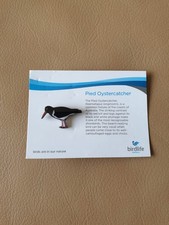BirdLife Australia Pied Oystercatcher Enamel Pin Badge, Non RSPB Interest, Bird picture