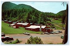 c1950's Lake Isabel Lodge Cafe Cabins Gift Shop Rye Colorado CO Vintage Postcard picture