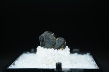 Perovskite var. Dysanalyte & Magnetite / Perovskite Hill, Arkansas picture