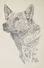 AUSTRALIAN CATTLE DOG ART #101 Signed Kline Word Drawing. Dogs name added free. picture