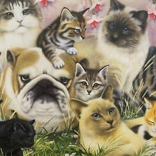 Vintage Leanin' Tree Greeting Cards 6/pk Twelve Cats & a Dog Encouragement NIP picture