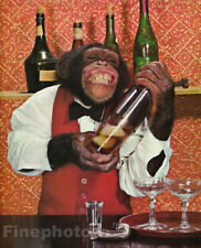 1950s Vintage MONKEY HUMOR Chimpanzee BARTENDER Drinks Wine Bar Photo Art 12x16 picture