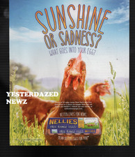 2015 print ad for Nellies Free Range Eggs "Sunshine or Sadness?" picture