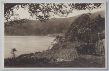 At Furnas Lake St. Michael's Azores Sao Miguel Portugal Sepia DB Postcard 2176 picture