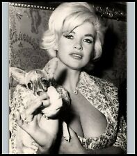 Platinum Blonde JAYNE MANSFIELD SEXY BUSTY & DOG PORTRAIT 1976 ORIG PHOTO 592 picture