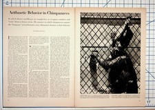 Chimpanzee Arithmetic Behavior Psychology Article 1964 Science Journal Pages picture