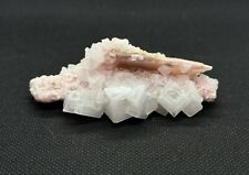 Natural Pink Halite Mineral Specimen - Searles Lake California, USA - 43G picture