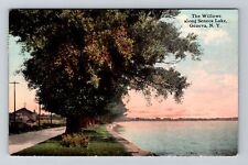 Geneva NY-New York, The Willows along Seneca Lake, c1911 Vintage Postcard picture