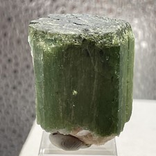 BEAUTIFUL WATERMELON TOURMALINE MINIATURE-HIMALAYA MINE,PALA,CALIFORNIA picture
