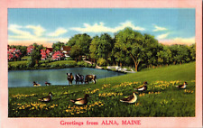 Greetings from Alna, Maine - Linen - Nycecolor Landscapes - Vintage Postcard picture