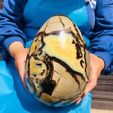 15.7LB Natural Turtle Back Stone Egg Shape Dragon Crystal Crack Gem Reiki picture
