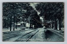Battle Creek MI-Michigan, Beautiful Maple St, Antique, Vintage c1908 Postcard picture