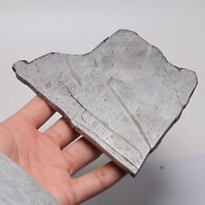 371g  Muonionalusta meteorite part slice C7017 picture