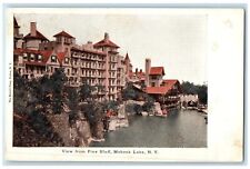 1908 View From Pine Bluff Mohonk Lake New York NY Posted Antique Postcard picture