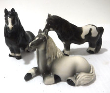 Cheval Miniature Ponies 3