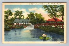 Castalia OH-Ohio, Mill Pond, Fish Hatchery, Blue Hole, Antique Vintage Postcard picture
