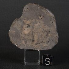 Meteorite Jikharra 001 Of 32,43 G Achondrite Eucrite Melt Breccia Hed #D82.2-4 picture