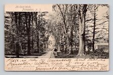 Postcard McCosh Walk Princeton New Jersey NJ, 1904 Antique D10 picture