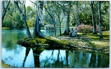 Posted - Silver River, Silver Springs, Florida, USA, North America picture