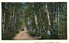 1931 Greetings From Richmond Maine ME Driveway Along The Forest Vintage Postcard picture