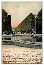 1906 Avenue to Entrance to the Menagerie in F.F. Castle Vienna Austria Postcard picture