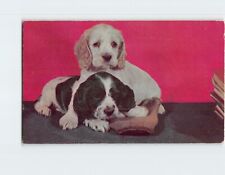 Postcard Cuddling Puppies Send Greetings From Rochester, Minnesota picture