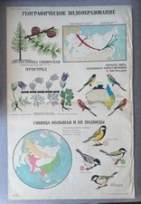 Vintage Soviet Biology Wall Chart Geographic Speciation Evolution Birds 1980 picture
