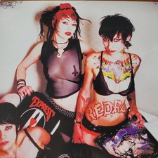 Suicide Girls Black Heart Poster Nine Inch Nails Ministry Cure Goth Epitaph Y2K picture