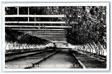 St. Saviour's Guernsey C.I. Postcard Newlyn Vinery 1971 Posted RPPC Photo picture