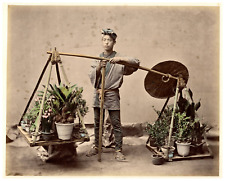 Japan, Young Japanese Seller of Plants and Flowers Vintage Albumment Print, Print picture