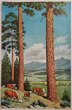 1955 Magazine Pictures 6 Paintings of Trees by Walter A. Weber picture