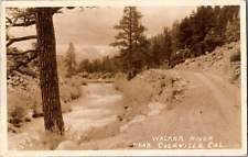 Postcard Real Photo Walker River Coleville California RPPC Unposted picture