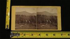 b042, Hervey Friend Stereoview, #269, White Mountain Scenery, N.H., 1860's picture