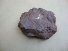 Meteorite 542 grams Canyon Diablo Meteor Crater Iron Meteorite from Arizona D-8 picture
