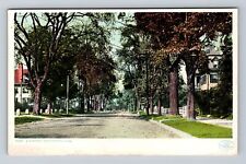 Northampton MA-Massachusetts, Residences On Elm Street, Vintage Postcard picture
