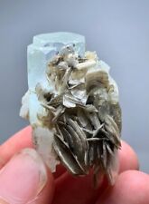 96 Carats Natural Aquamarine Crystal W.Mica Specimen From Skardu @Pakistan picture