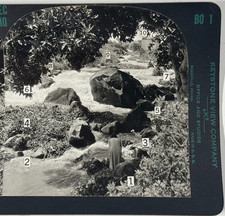 Depth-Perception Training Scene Showing River, Numbered Focus Points Stereoview picture