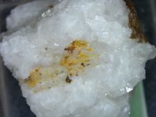 Rutile/sagenite from Nussing, East Tyrol, Austria  Micromount picture